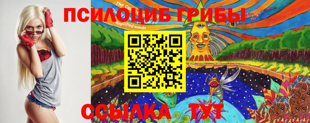 Псилоцибиновые грибы прущие грибы Азнакаево